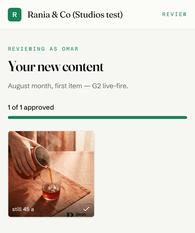 The client review link on a phone: the agency's logo and name at the top, an approval progress bar, and the finished post with an approved check.